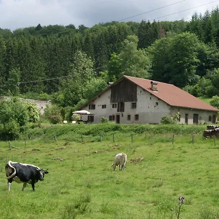 La Hutte * Tendon